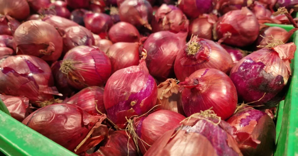 Red onions are in a bin; the edges of the bin are green. Some onions have spots of lighter red than others.