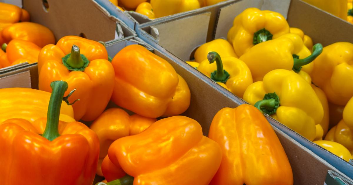 Yellow- and orange-colored peppers are inside bins. The bins themselves are made of cardboard.