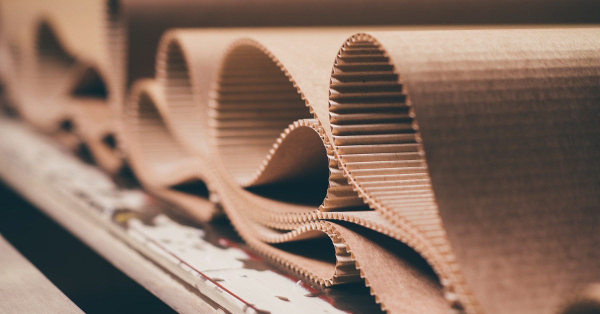A long sheet of cardboard is on a conveyor belt. The cardboard is bending and flexing along the belt.