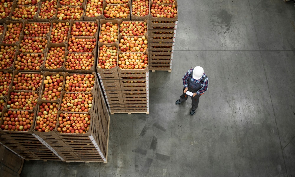 A man in a hard hat and overalls is standing next to stacked boxes. The boxes are filled with apples.